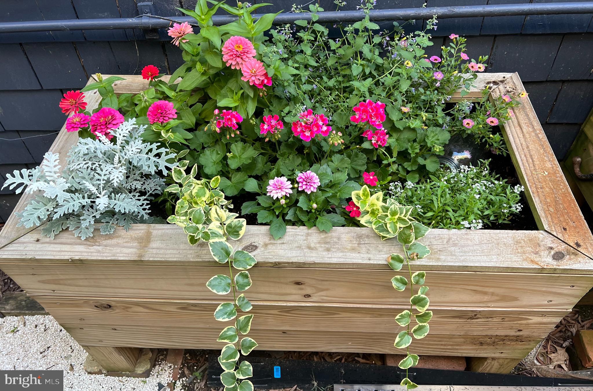 HISTORIC DISTRICT - Residential