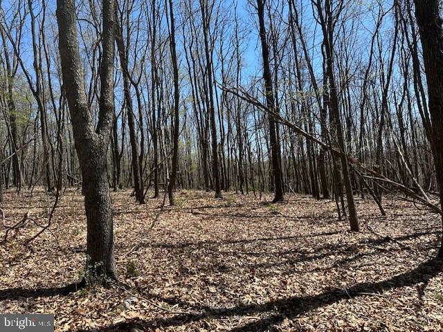 Here’s your shot at affordable land with serious view potential. Buy it now, build when you’re ready. This lot gives you plenty of level ground to bring your West Virginia dreams to life—whether that’s a cabin, a full-time residence, a hunting camp, or just a place to get away from the noise. Set in rural Hampshire County and surrounded by woods and working farms, this is the kind of spot where you can breathe. You’re just minutes from the South Branch of the Potomac River and a stone’s throw from the legendary 10,000-acre Nathaniel Mountain Wildlife Management Area—prime territory for hunting, hiking, and getting off the grid. And when you need to hit town, Winchester, VA is just a 45-minute drive from your front door. This property checks all the boxes for quiet country living, with freedom, privacy, and room to roam. No fluff—just a solid piece of land that’s ready when you are.