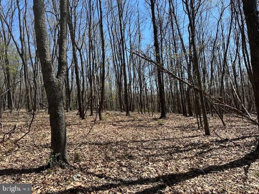 Here’s your shot at affordable land with serious view potential. Buy it now, build when you’re ready. This lot gives you plenty of level ground to bring your West Virginia dreams to life—whether that’s a cabin, a full-time residence, a hunting camp, or just a place to get away from the noise. Set in rural Hampshire County and surrounded by woods and working farms, this is the kind of spot where you can breathe. You’re just minutes from the South Branch of the Potomac River and a stone’s throw from the legendary 10,000-acre Nathaniel Mountain Wildlife Management Area—prime territory for hunting, hiking, and getting off the grid. And when you need to hit town, Winchester, VA is just a 45-minute drive from your front door. This property checks all the boxes for quiet country living, with freedom, privacy, and room to roam. No fluff—just a solid piece of land that’s ready when you are.