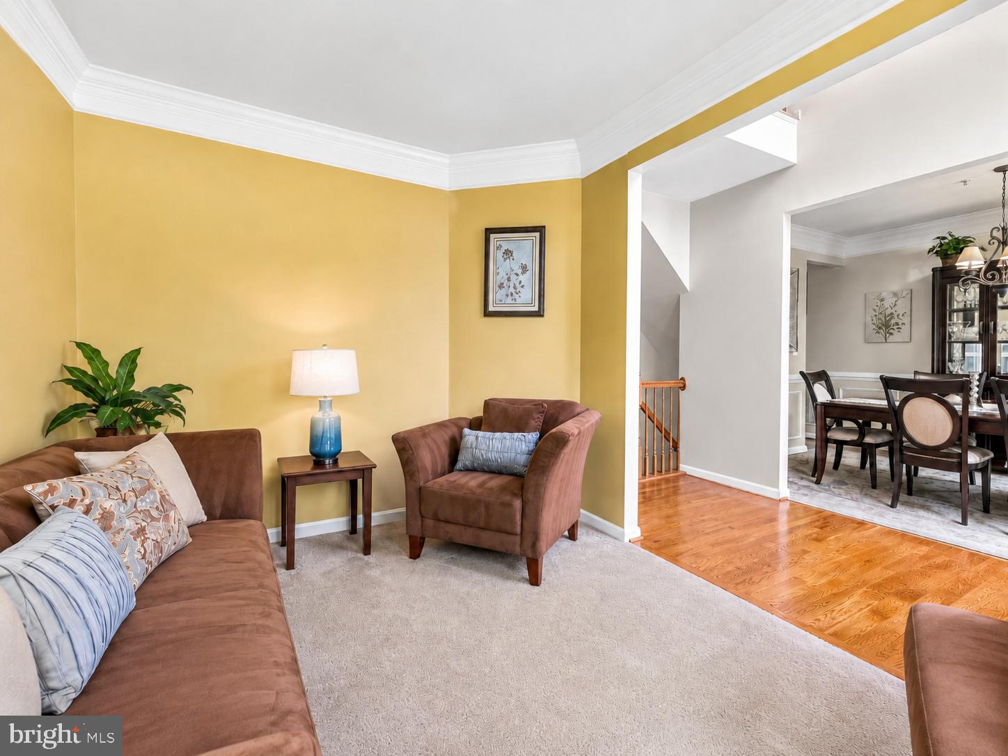 1303 NORTHERN LIGHTS DRIVE