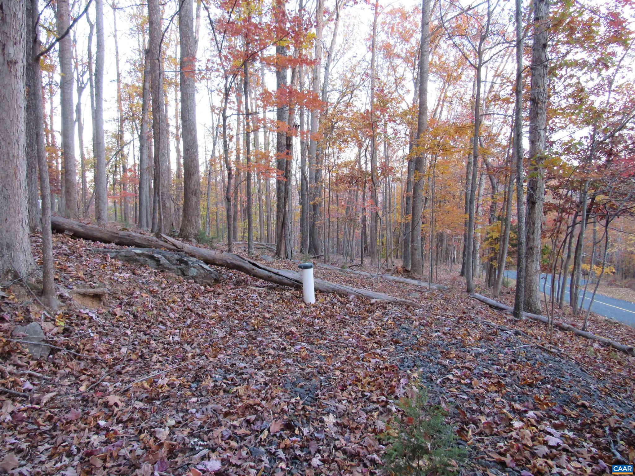 10 RODES VALLEY DR 10