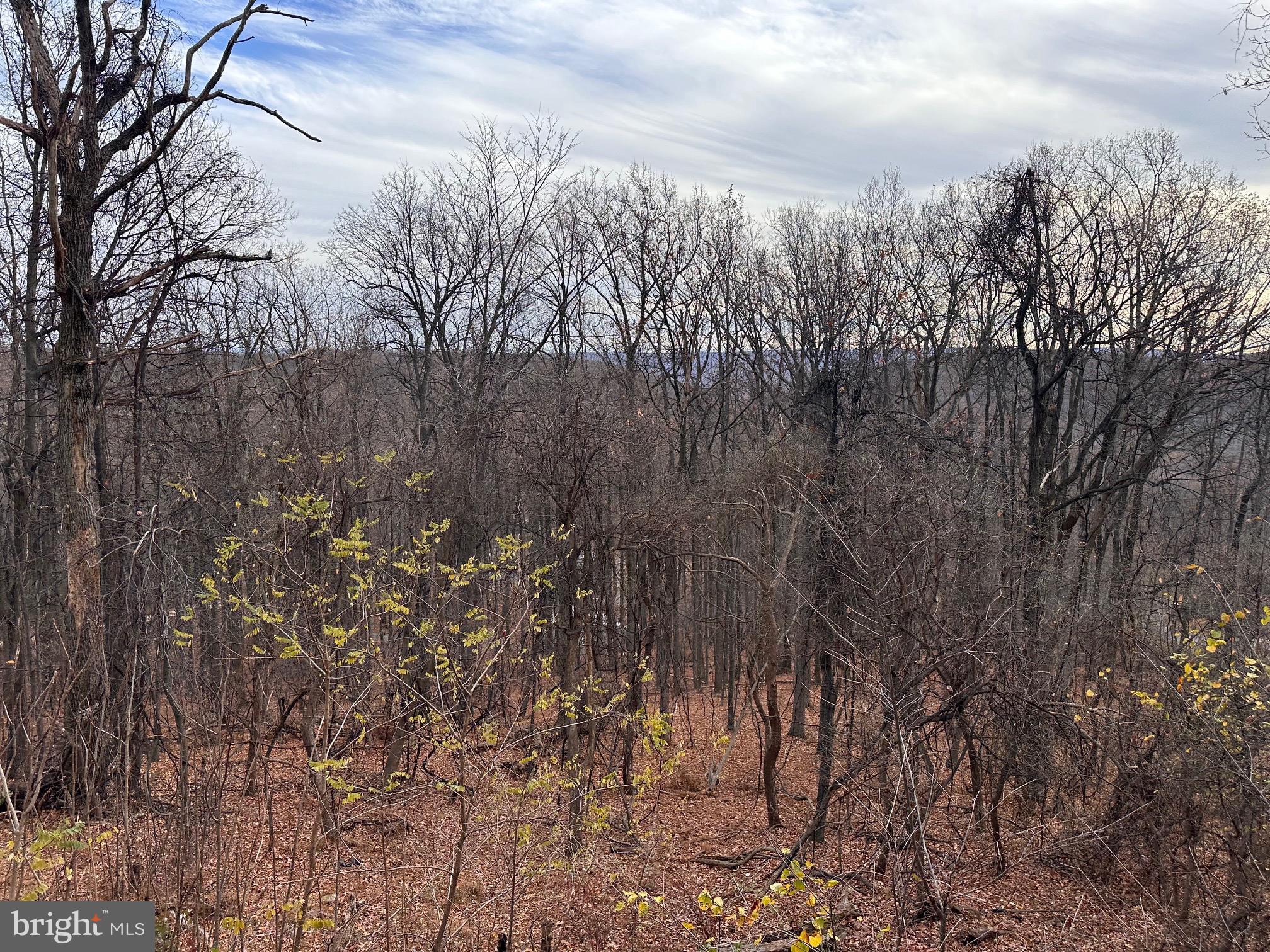 SLEEPY HOLLOW SUBDIVISION - Residential