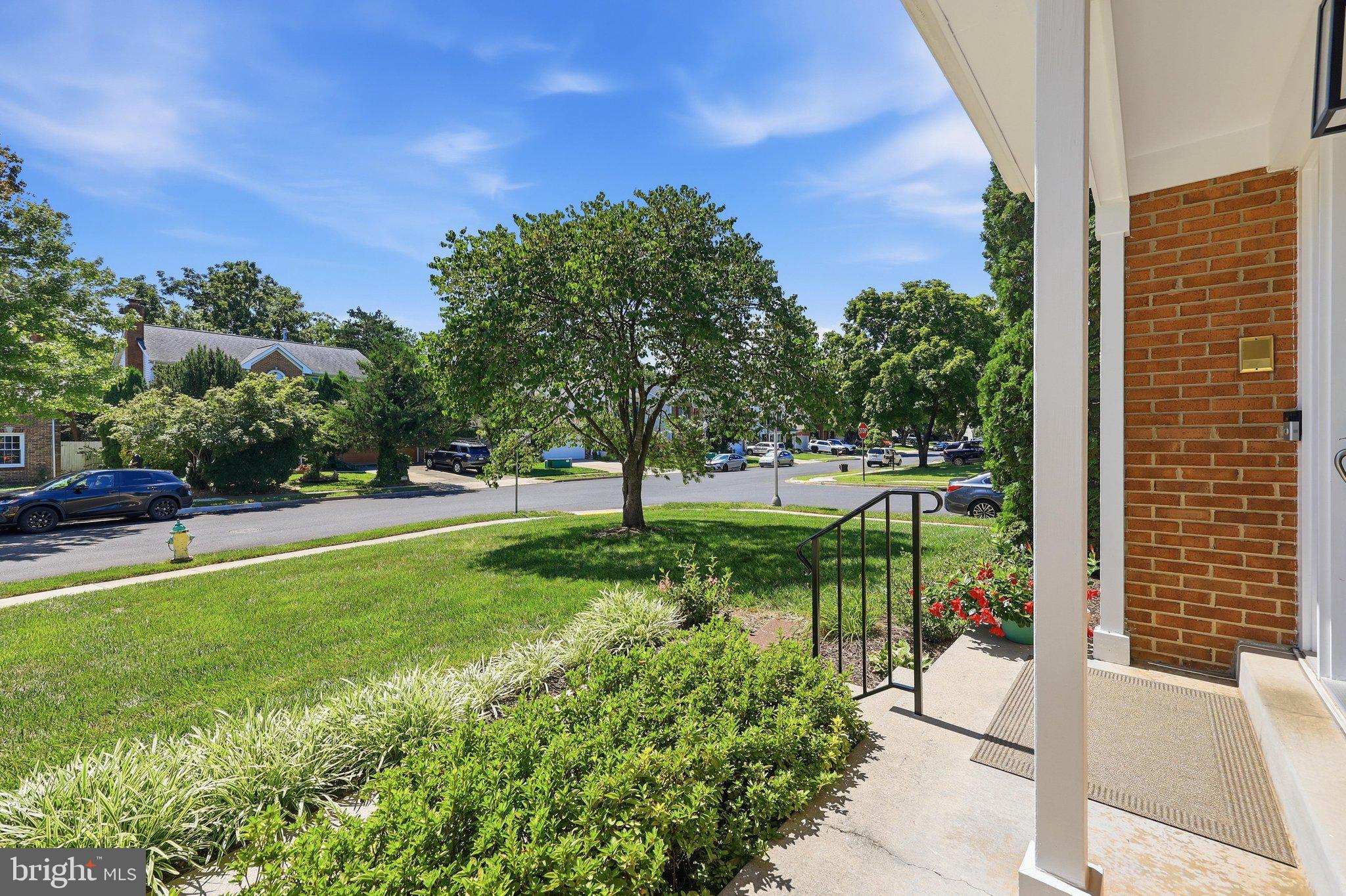 1019 CHINABERRY DRIVE