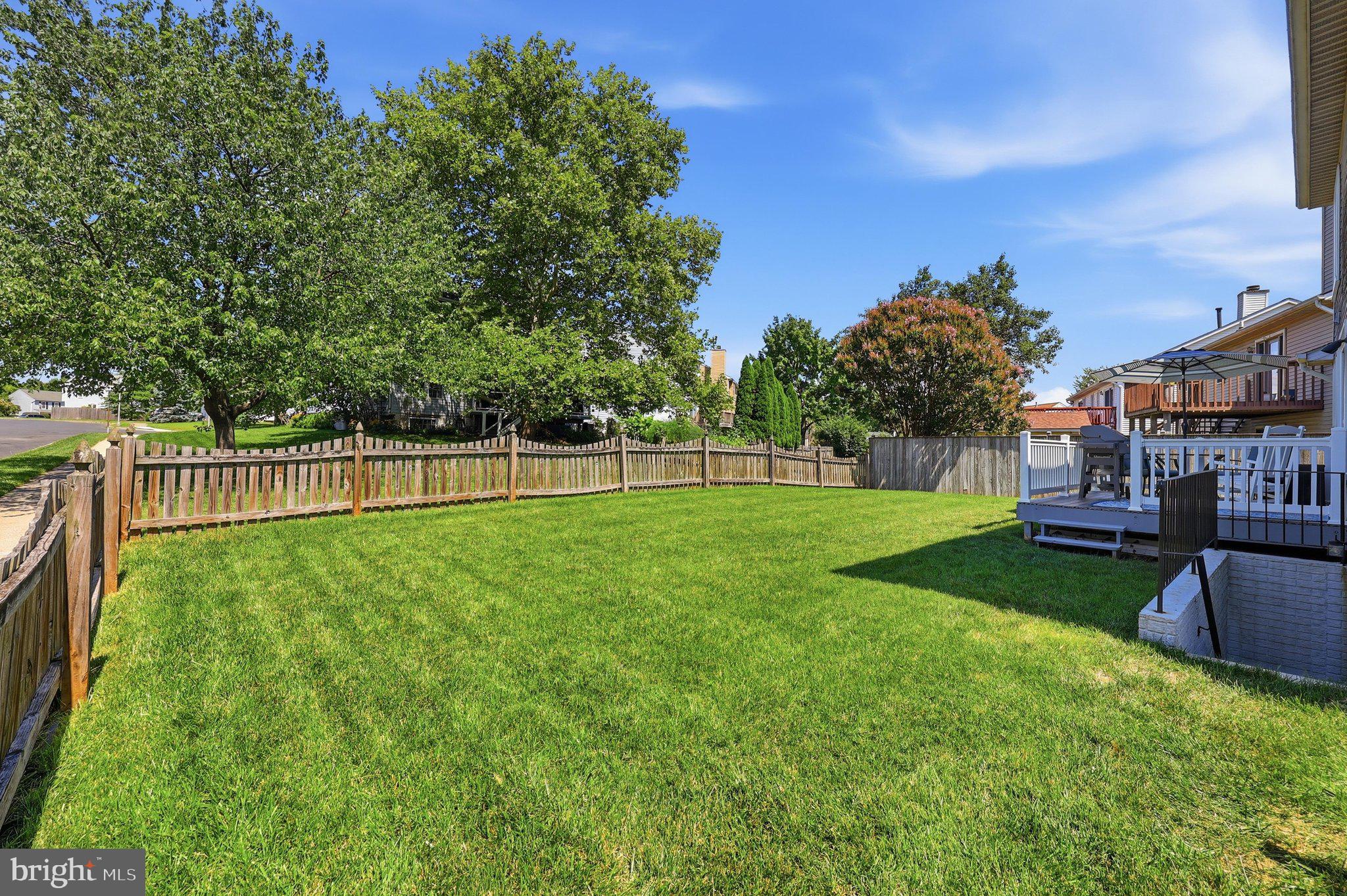1019 CHINABERRY DRIVE