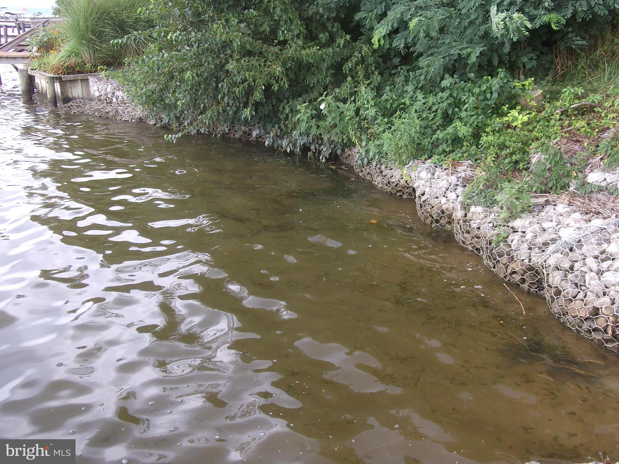 TWIN RIVER BEACH - Residential