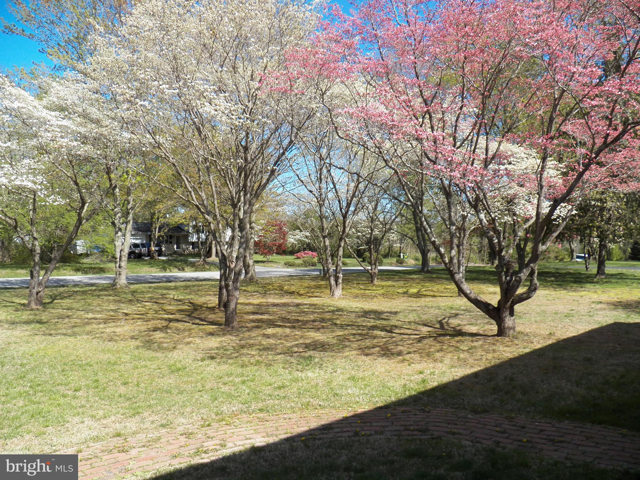 BEL ALTON ESTATES - Residential