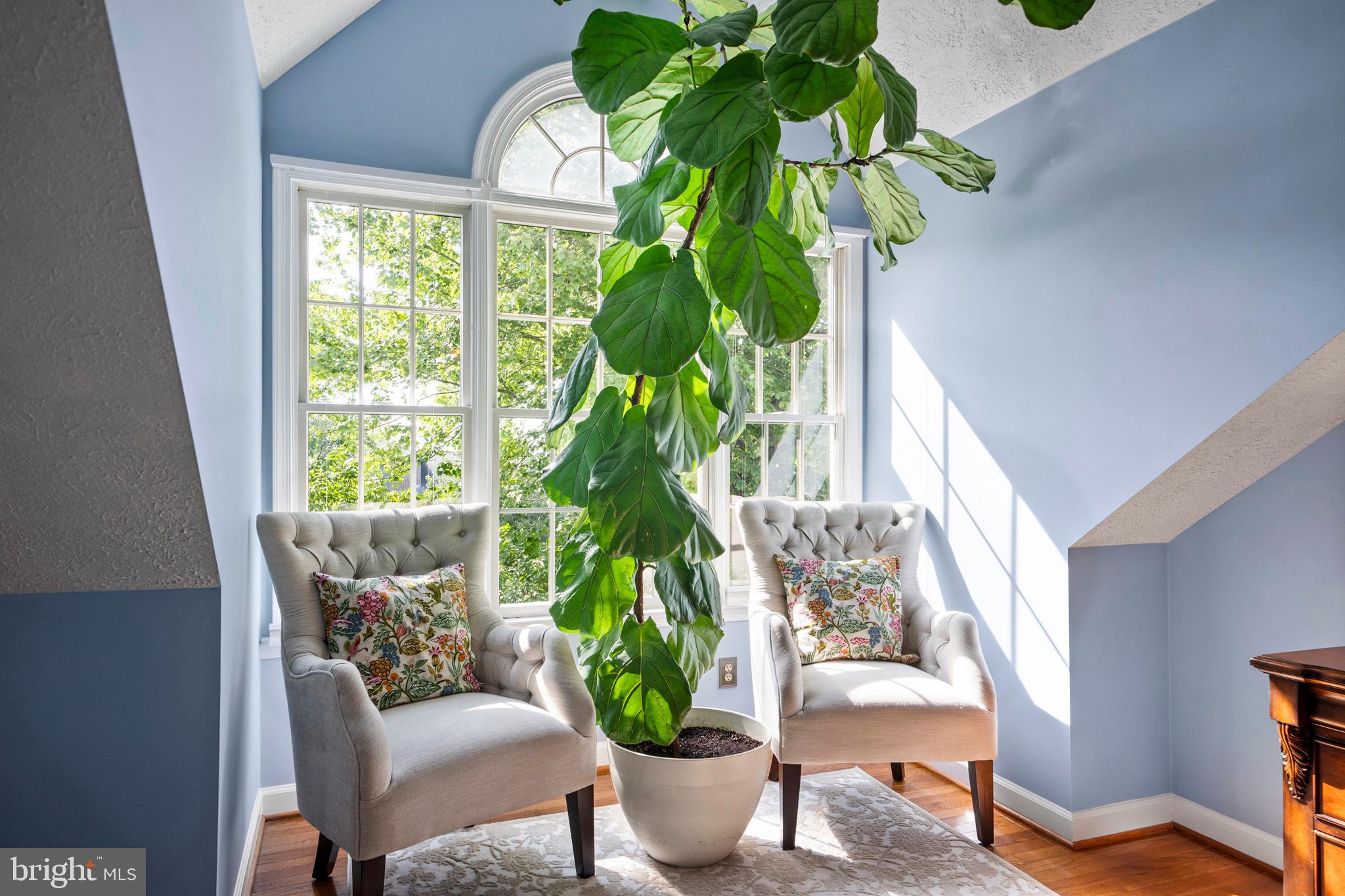 SWAN POINT - Residential