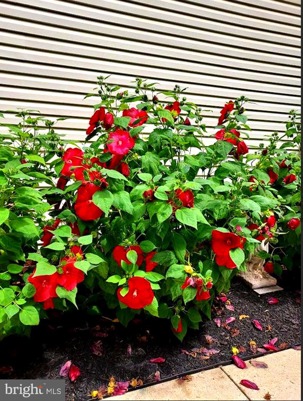 BILLINGSLEY PARK - Residential