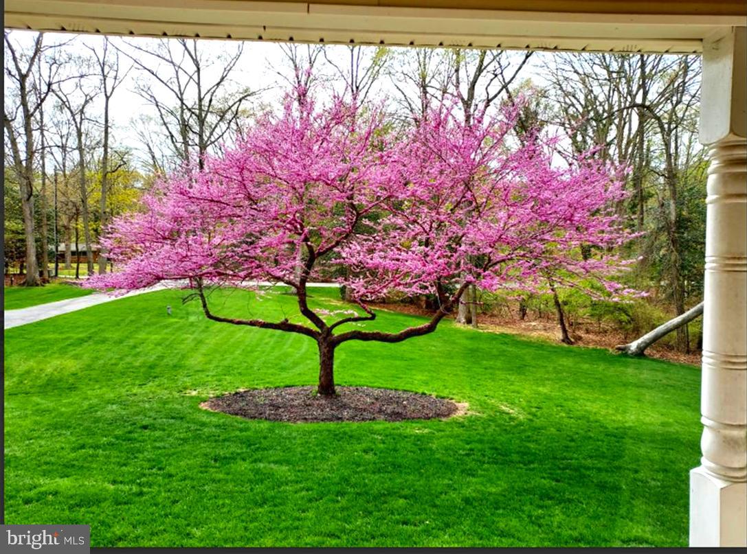 BILLINGSLEY PARK - Residential