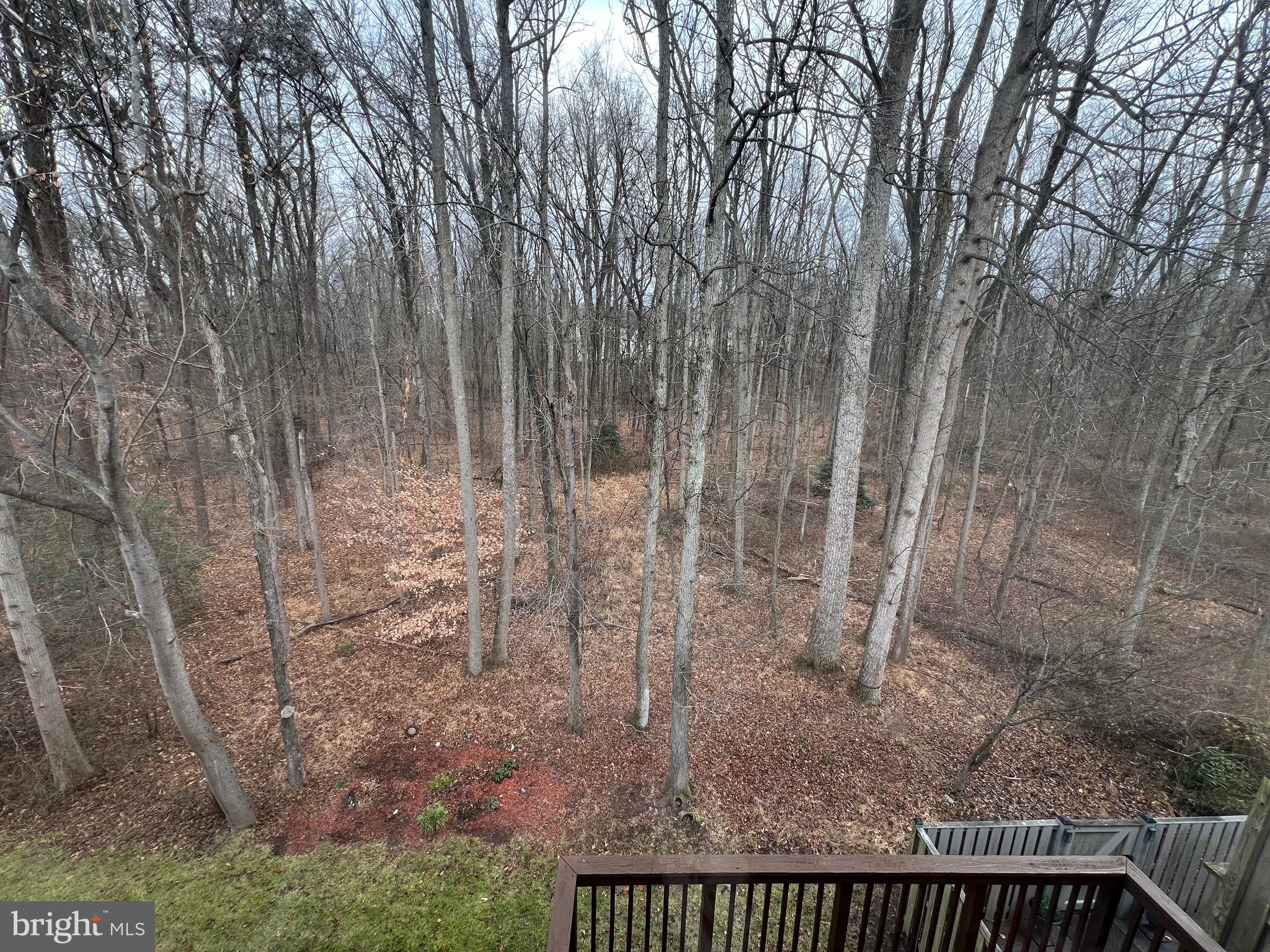 PINEY ORCHARD - Residential Lease