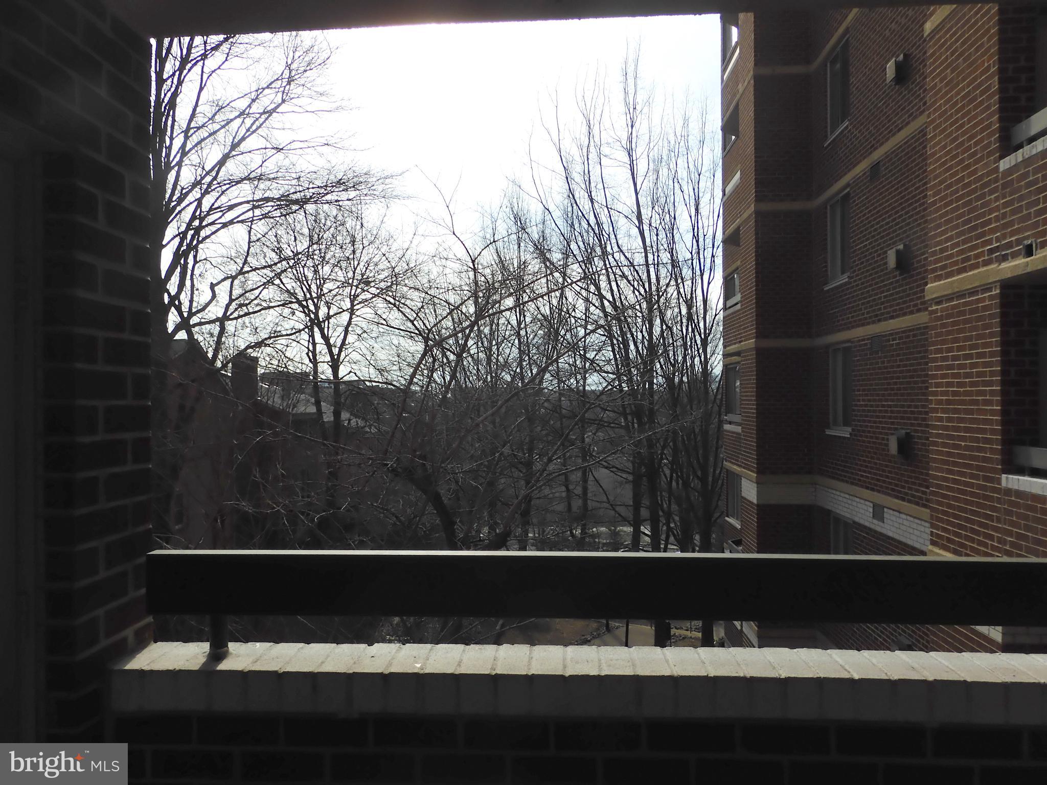 THE WILLIAMSBURG - Residential Lease