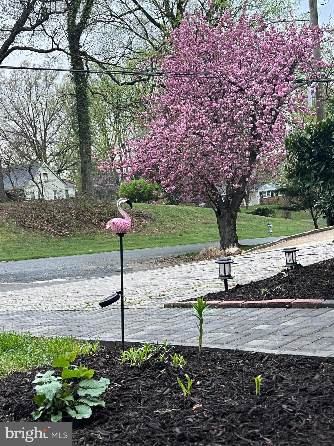 GEORGIAN FOREST - Residential