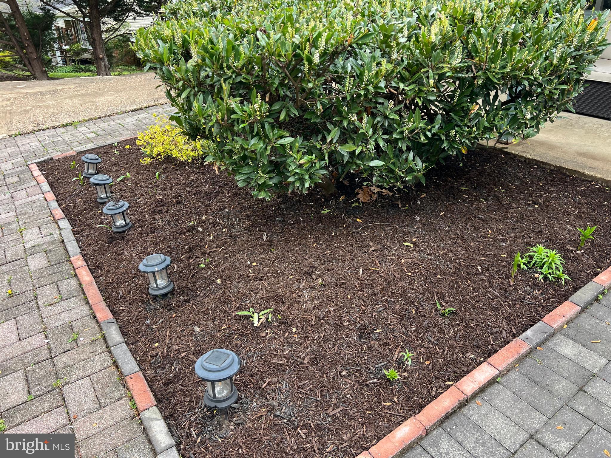 GEORGIAN FOREST - Residential