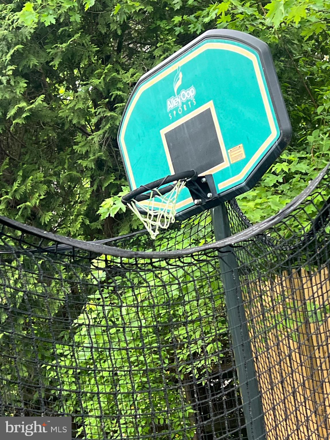 GEORGIAN FOREST - Residential