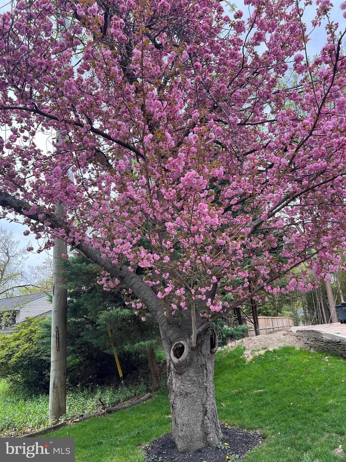 GEORGIAN FOREST - Residential