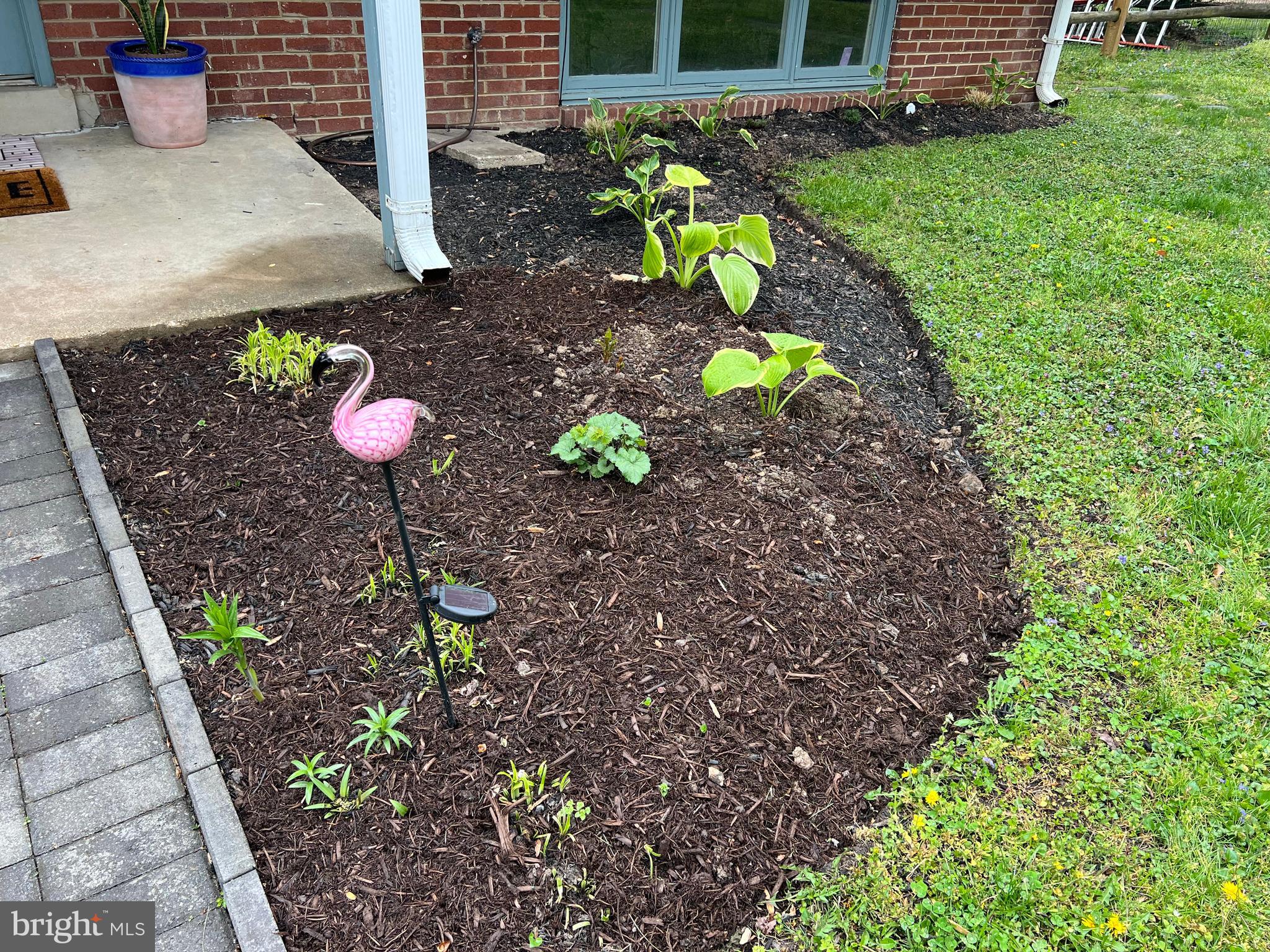GEORGIAN FOREST - Residential