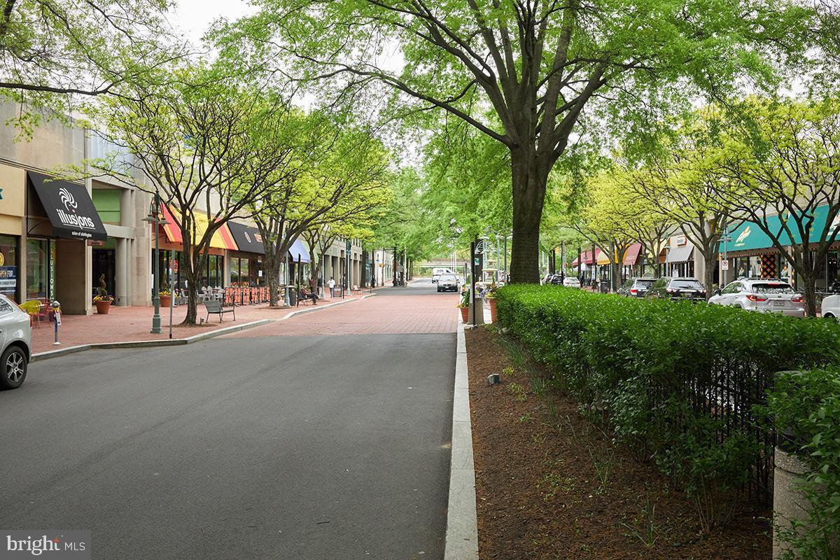 THE ARLINGTON - Residential Lease