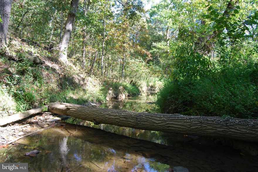 ***Investment-Development-Recreation Opportunity***

Here is your opportunity to purchase a prime piece of land just outside of Martinsburg.  This large parcel made up of 12 individual lots could be your next investment, home site, family campground or place to get away. What better place to buy then the ever expanding Berkeley County?  These 12 lots all hold individual percs with lots 6-11 holding two each and recorded with the county and identified on the plat. A road that divides the lots has been surveyed, staked and flagged on both sides but has not been installed. The lower portions of Lot 10-16 have a conservation easement that protects the land, trees and creek bed from disturbance but does not take away from the build sites or usable ground.

For recreation usage this property is prime for the setting. With easily traversable trails throughout both sides of the property, it leaves no corner untouched. The wildlife in the area thrive on this property  as there is plenty of sign of deer and turkeys. Do not let this property slip by as this is a one of a kind and won't last long.