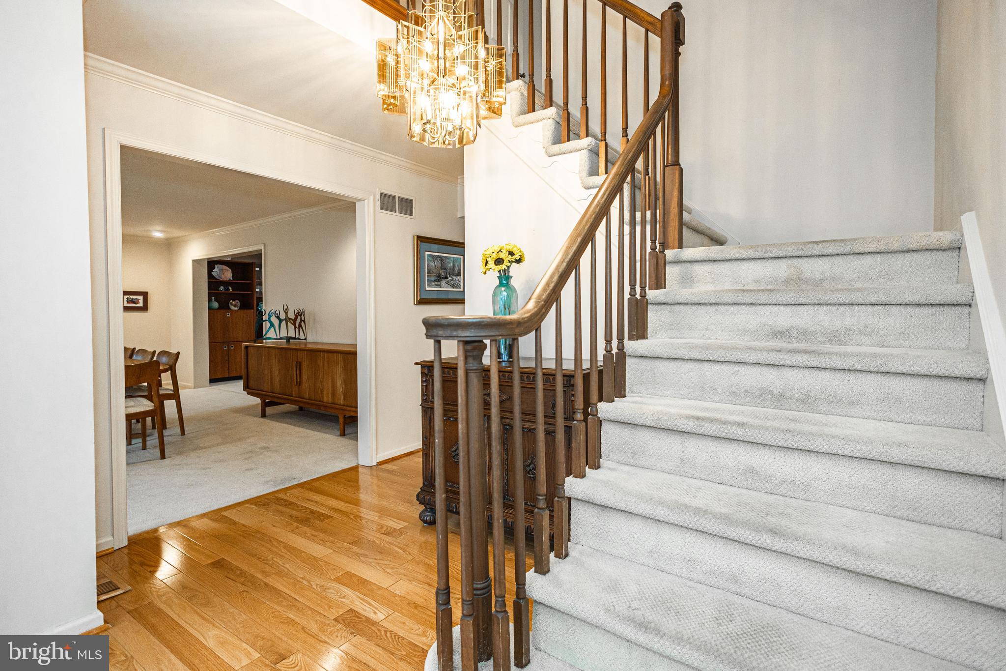 WYNNEWOOD - Residential