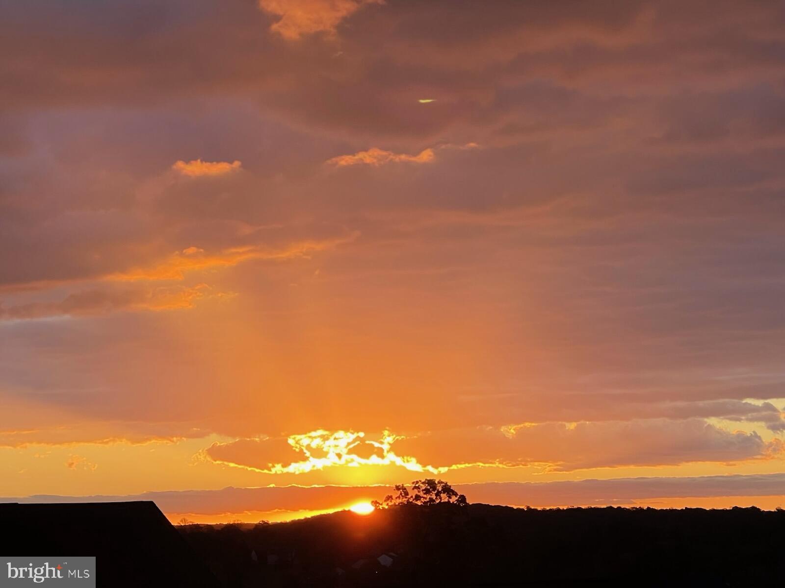 LAKE LINGANORE EAGLEHEAD - Residential