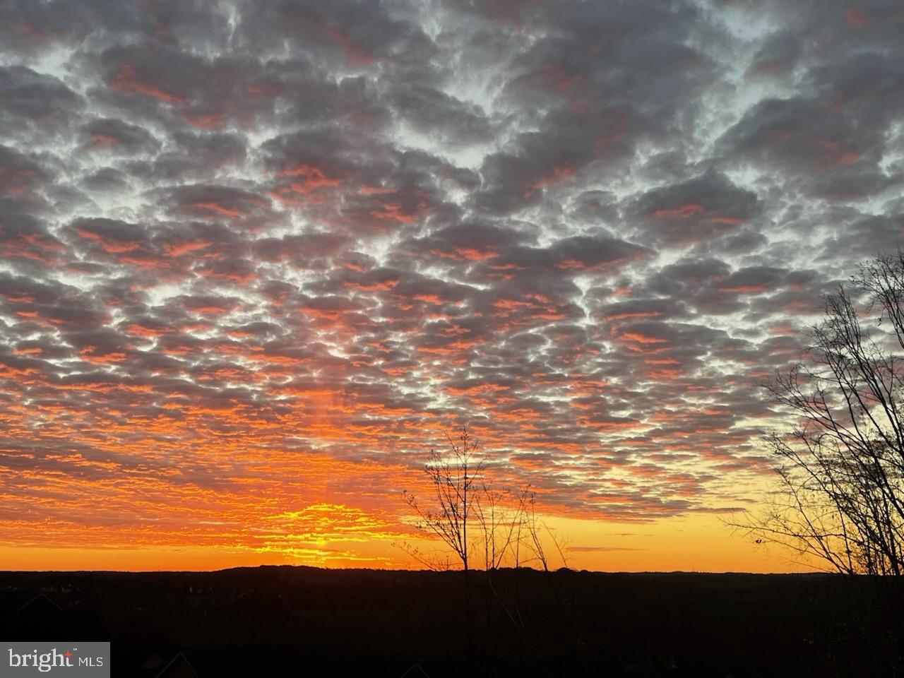 LAKE LINGANORE EAGLEHEAD - Residential