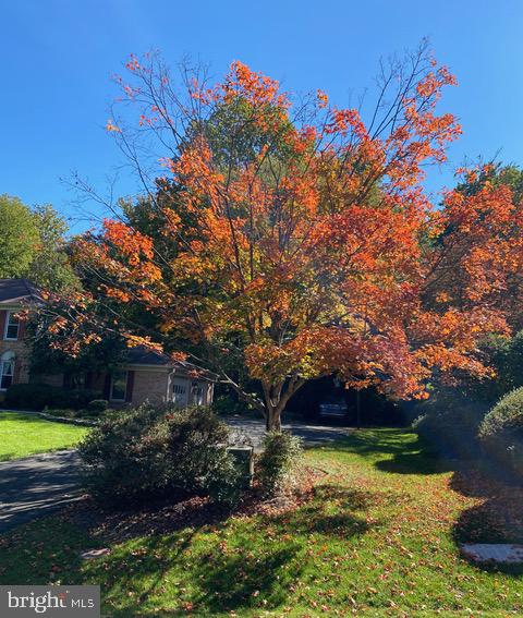 HOLLY KNOLL - Residential