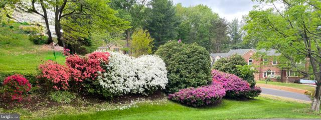 HOLLY KNOLL - Residential