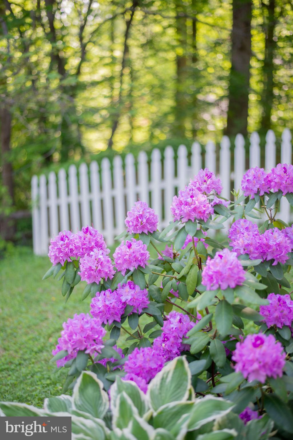 HOLLEYBROOKE - Residential