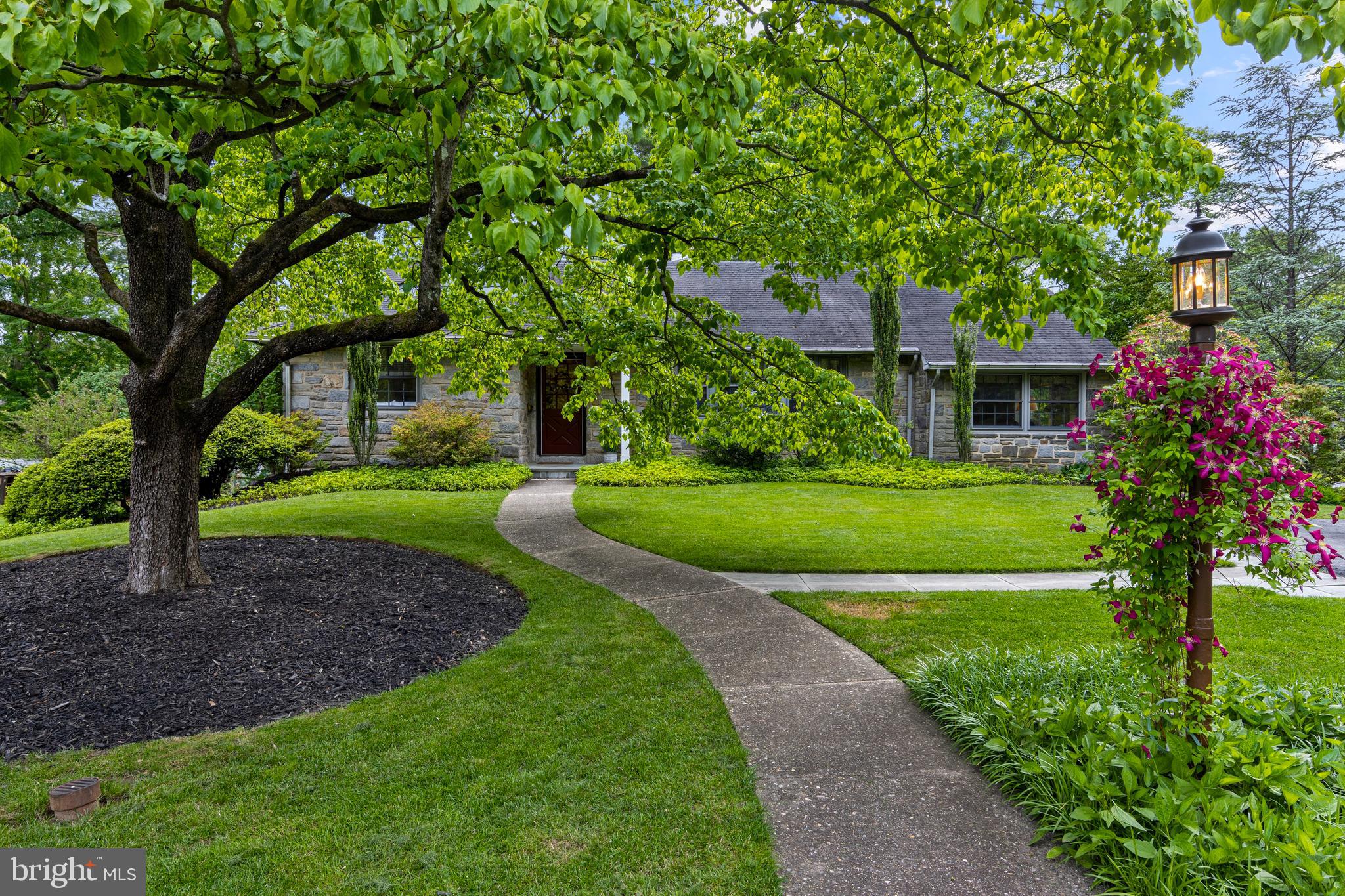 Discover first floor living at its finest in this charming, 3-bedroom, 2-bathroom, stone home located in a wonderful neighborhood in Wallingford. This residence offers ample space and has a wonderful layout and is perfectly placed on a generous corner lot, providing a serene escape with convenient proximity to schools, the Springhaven Country Club, the wonderful town of Swarthmore and much more.
Step inside to find a welcoming foyer that leads into a large living room with wood-burning fireplace and picture window overlooking the manicured grounds. Off the living room is the dining room, sunken family room and a perfectly sized and well-placed home office. There are beautiful hardwood floors throughout this living space and access to the stone patio through French doors, allowing for seamless indoor and outdoor living and views of the fabulous back yard.
A thoughtfully designed and spacious eat-in kitchen with peninsula and banquet seating features a large pantry, desk, expansive granite countertops and plenty of storage and more views of the delightful yard with 50+ specimen plantings. There is also a large primary bedroom with en-suite bath, two additional bedrooms which share a hall bathroom and ample closet space. The full, walk-out and partially finished basement provides ample storage, access to the laundry and offers tremendous potential for future expansion.
This well-maintained home is ideally located within the Wallingford-Swarthmore School district with quick access to both Strath Haven Middle and High Schools, The Springhaven Country Club, the train to Philadelphia and the charming town of Swarthmore and Swarthmore College. Come see 413 Hawthorne and enjoy ease of living at its finest!