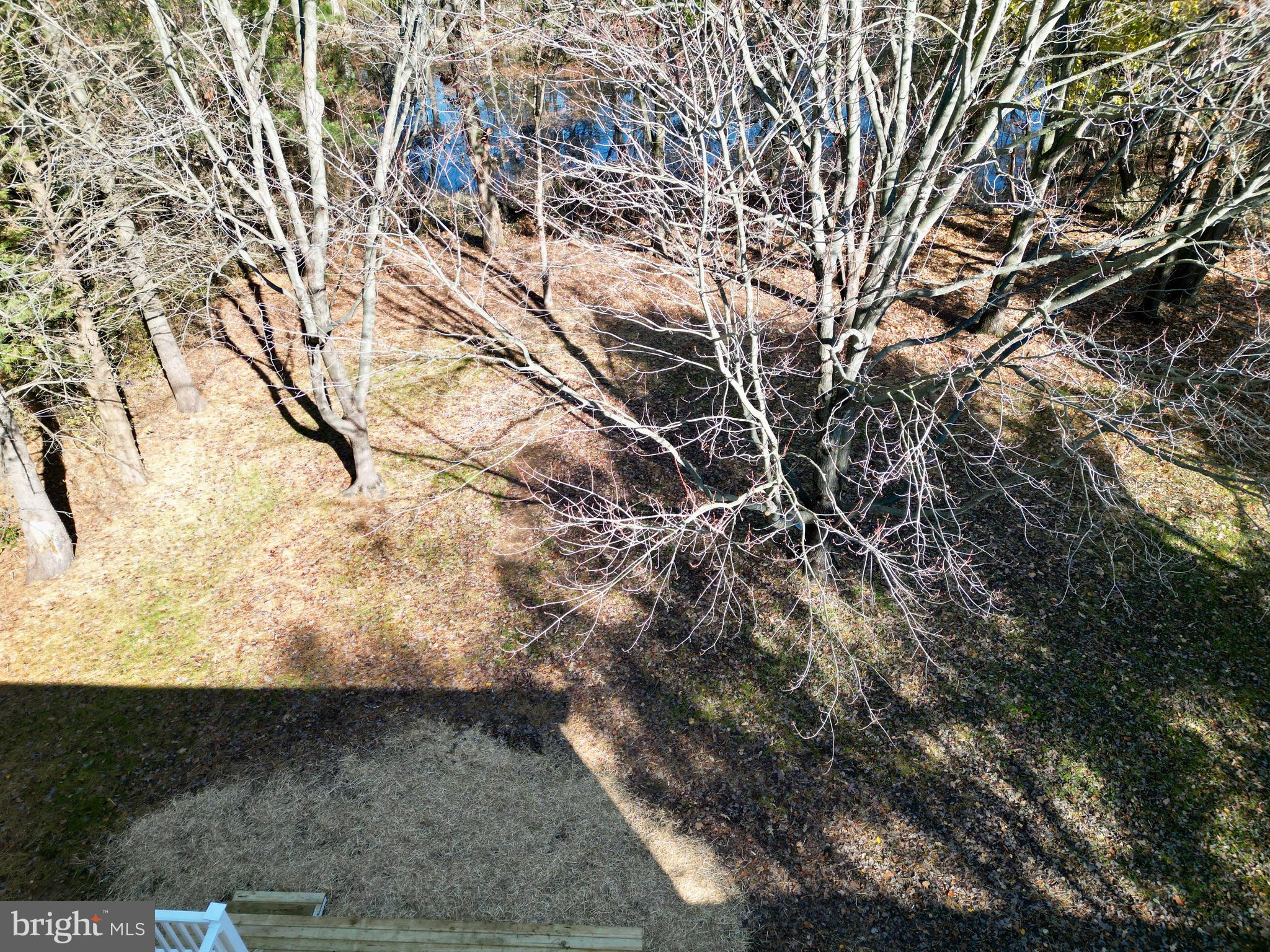 KINGSTOWNE MANOR - Residential