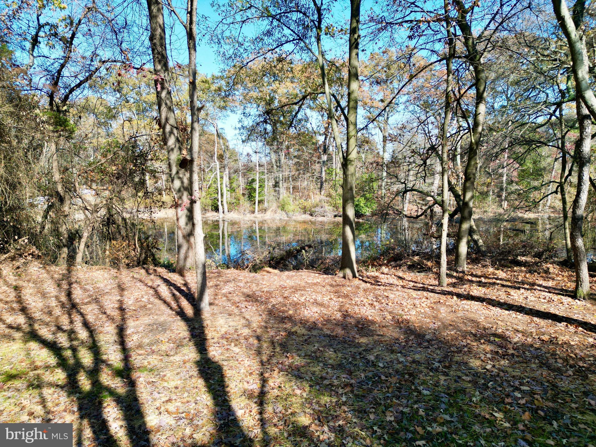 KINGSTOWNE MANOR - Residential