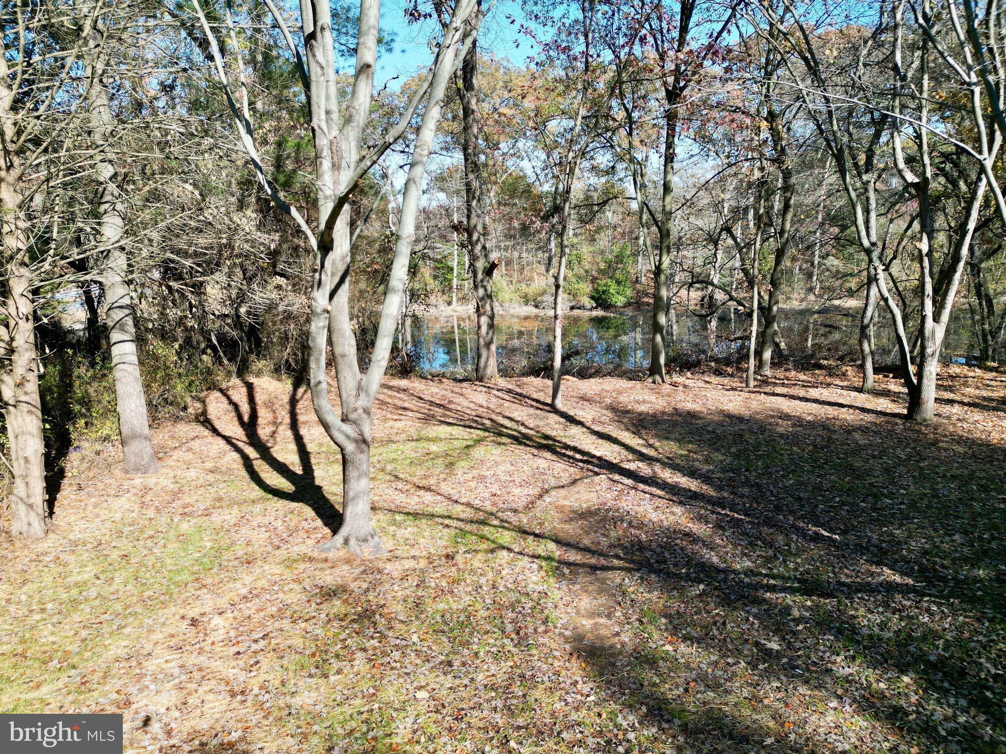 KINGSTOWNE MANOR - Residential