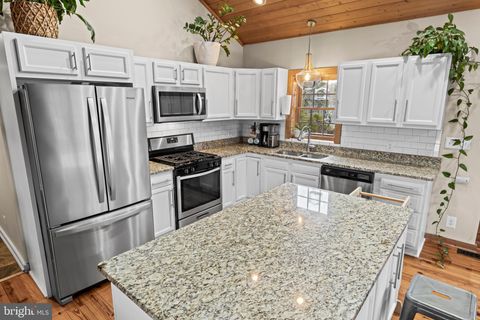 Tiny photo for 4112 Jacks Shop Road, ROCHELLE, VA 22738 (MLS # VAMA2002618)
