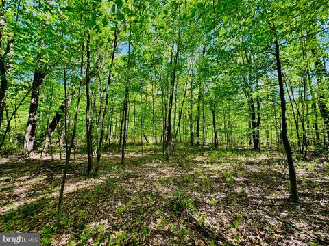 Vacant Land For Sale - LOT: 15 Paradise Point<br/> JAMES CREEK, PA 16657