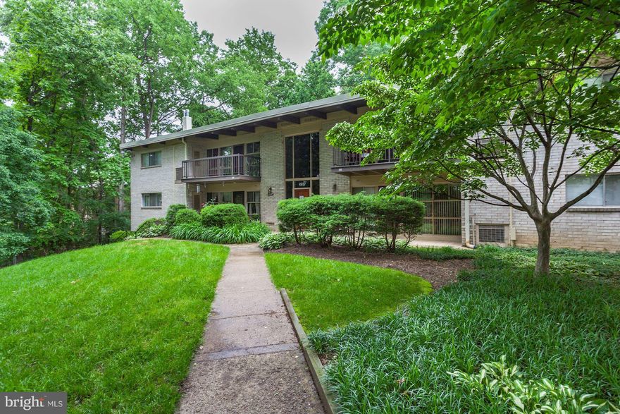 Spectacular recently renovated top-floor condo!  Open floor plan.  Wood floors!  Soaring Tongue And Groove ceilings with beams & track lighting. Gourmet kit. w/SS apps, gas range, granite counters & white cabinets.  Renovated BA.  MBR w/WI closet.  Balcony backs to mature trees.  This corner unit has views of mature trees from every room.  Storage in basement. Close to shopping and restaurants.