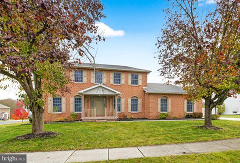 507 DAVID DRIVE MECHANICSBURG PA 17050