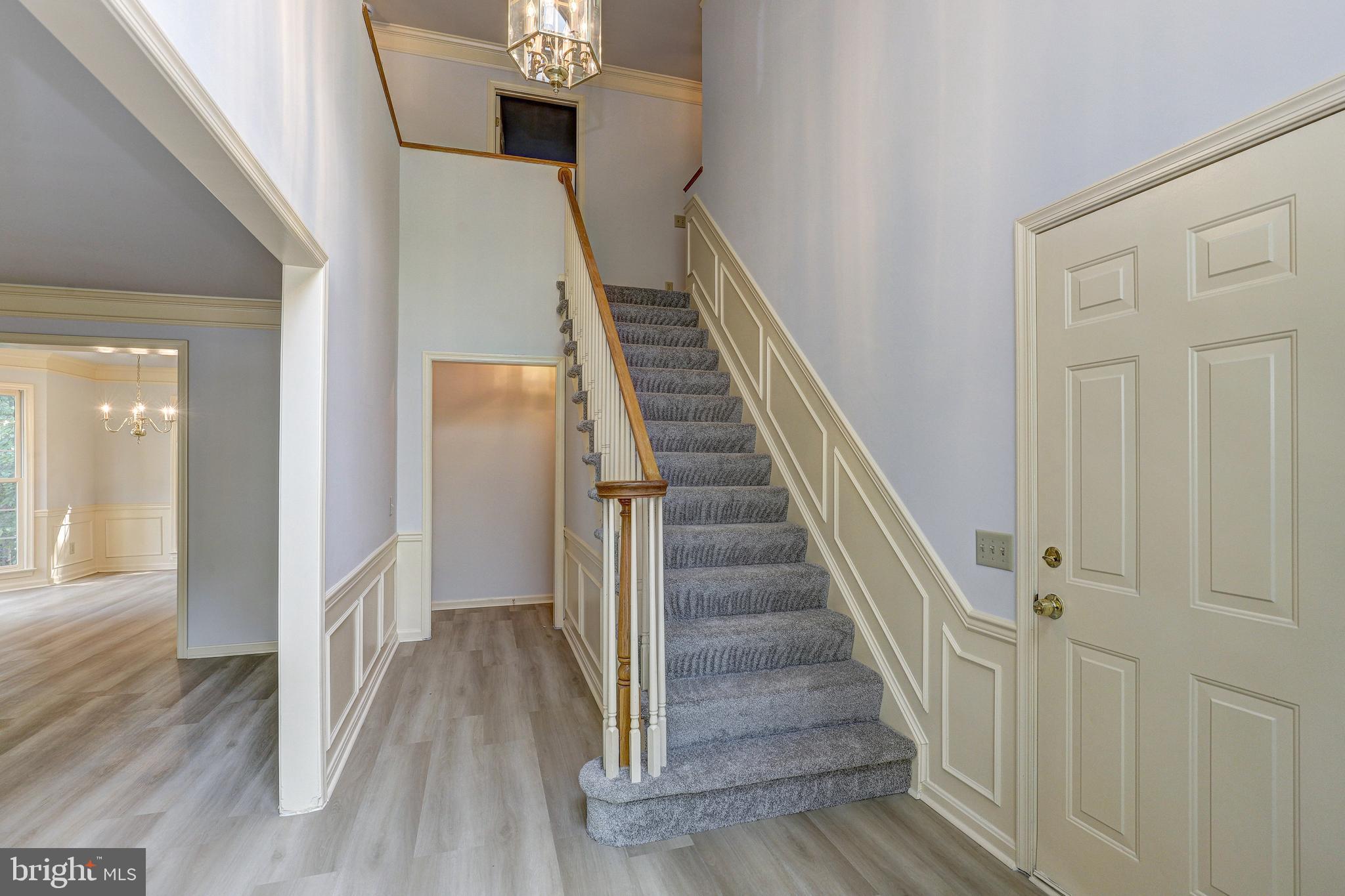 3539 FOREST HAVEN DRIVE