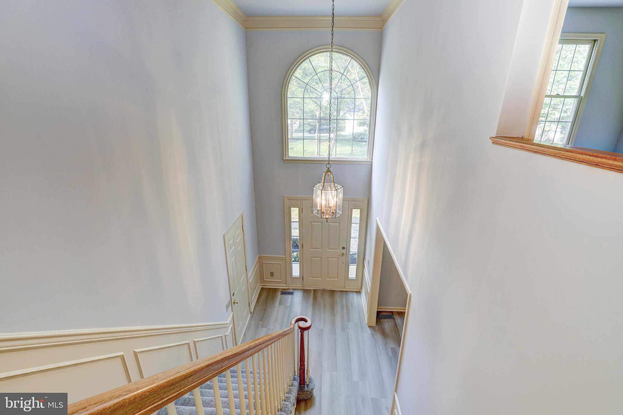 3539 FOREST HAVEN DRIVE