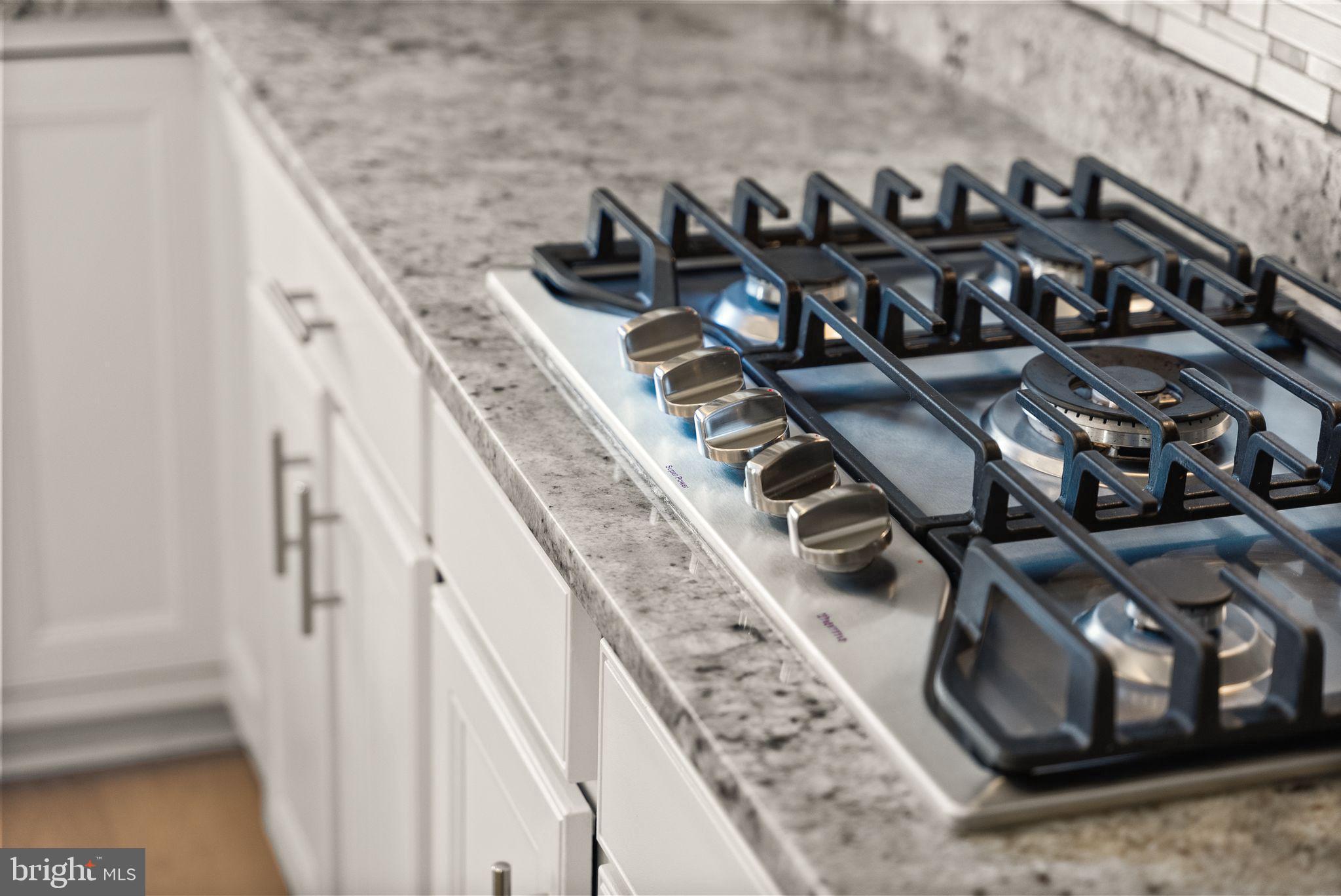 DOMINION CROSSING - Residential