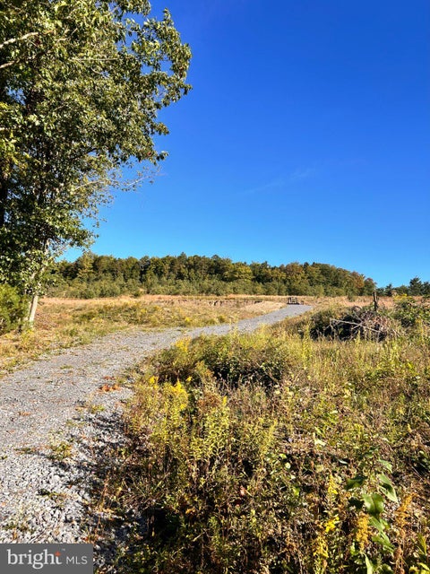Vacant Land For Sale - Fountain Road<br/> Centre County, SNOW SHOE, PA 16874