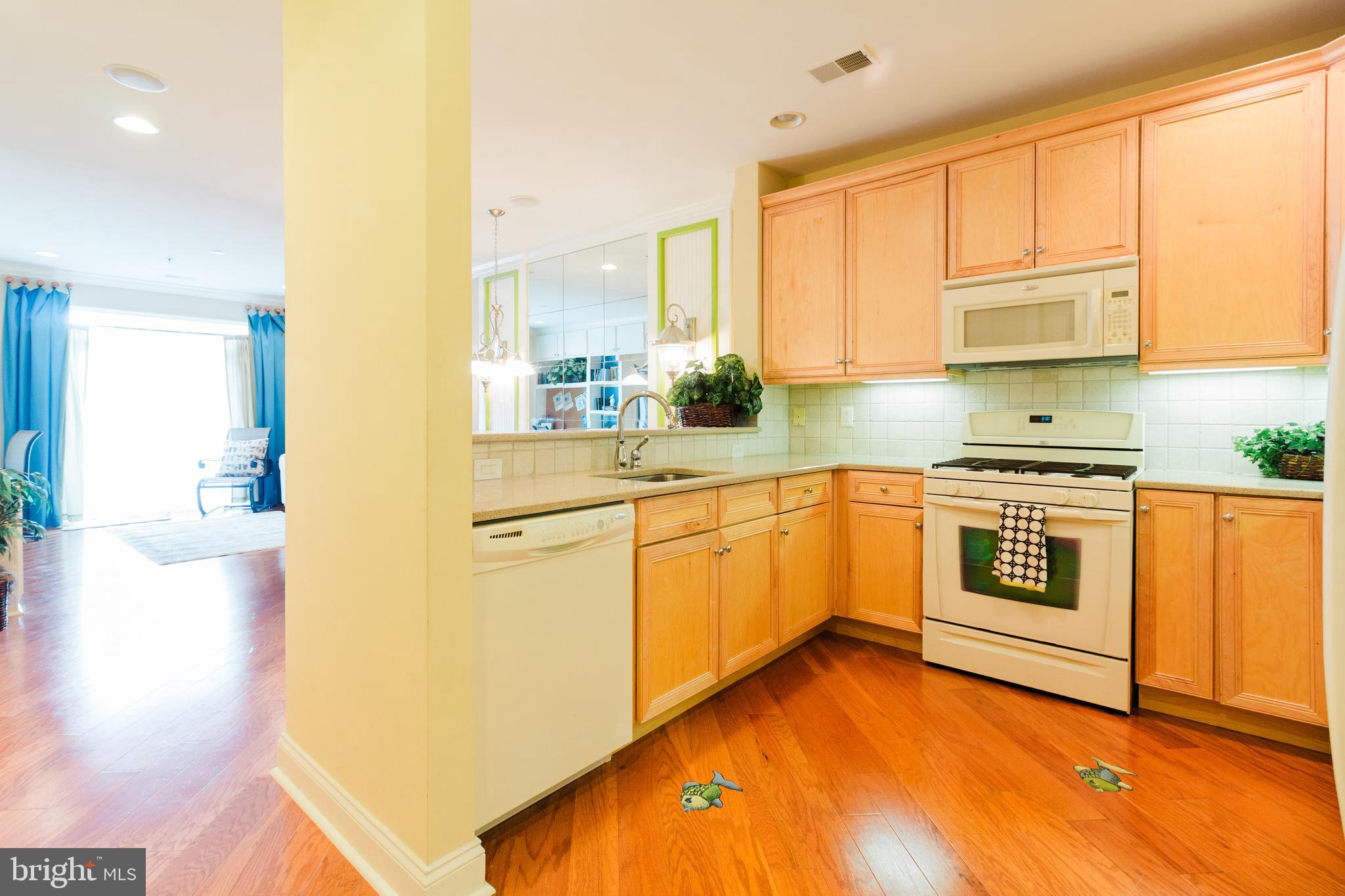 37685 ULSTER DRIVE T3