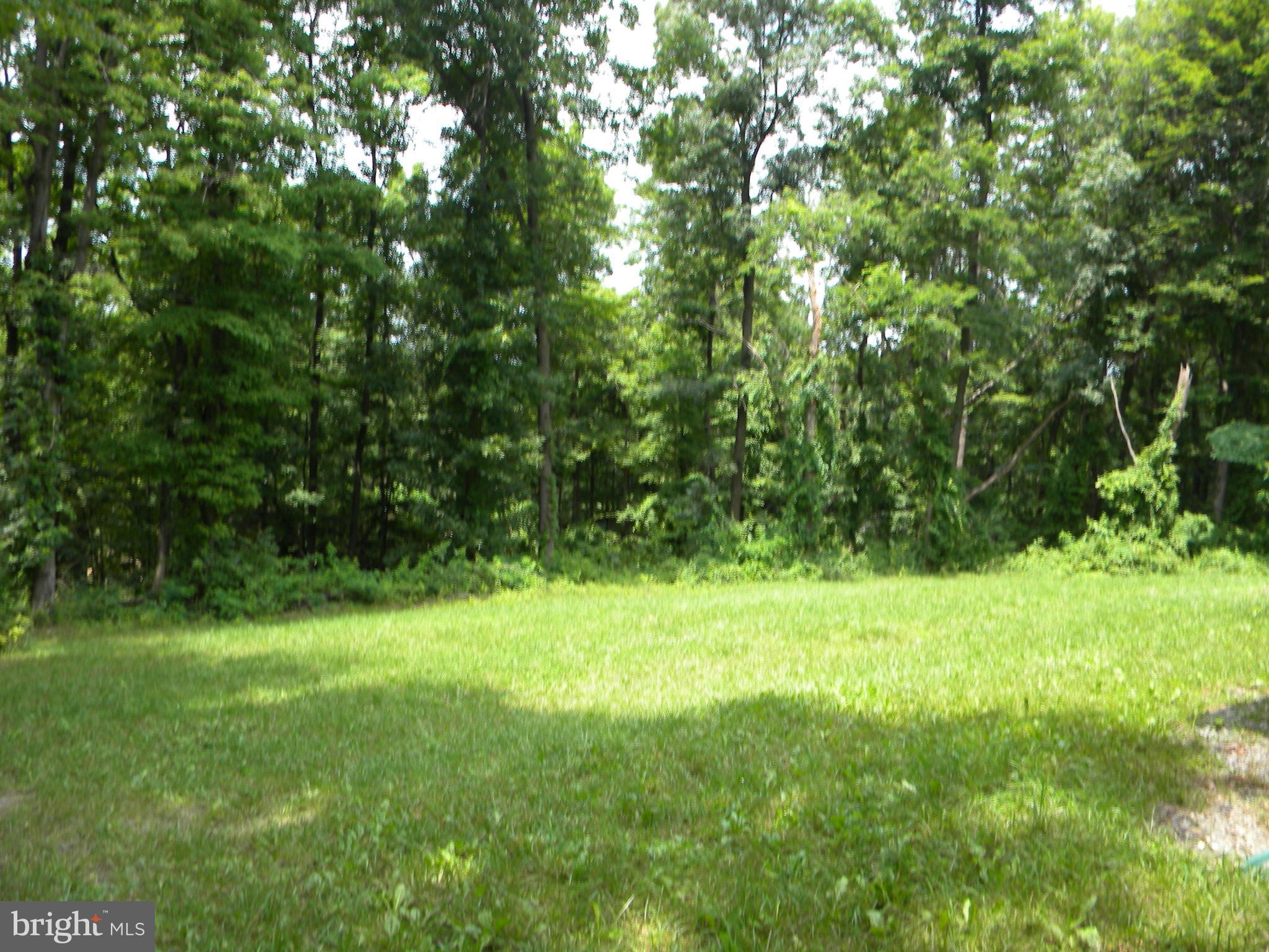 SHEN FARMS MT LAKE - Residential