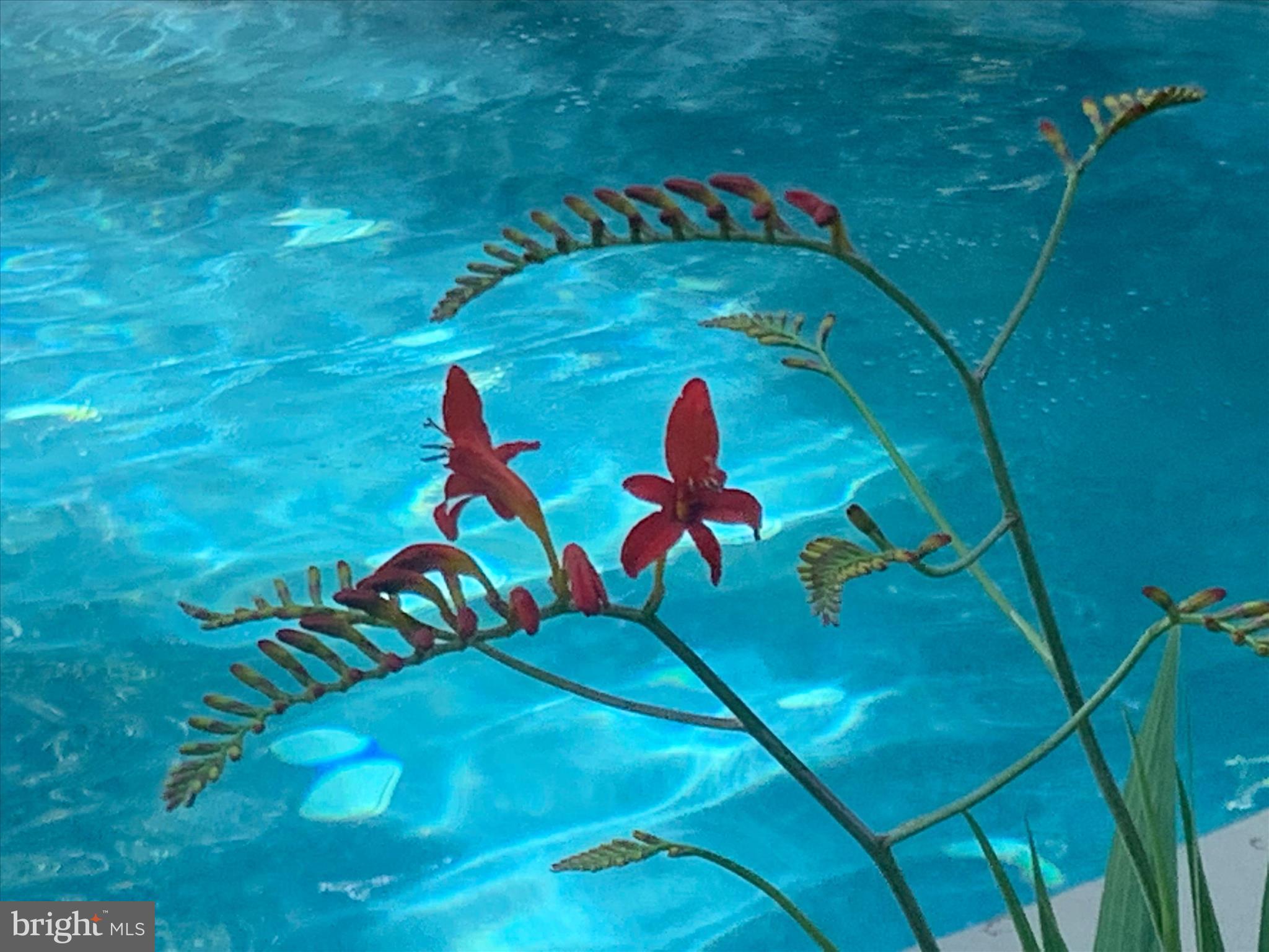 WORTHINGTON VALLEY - Residential