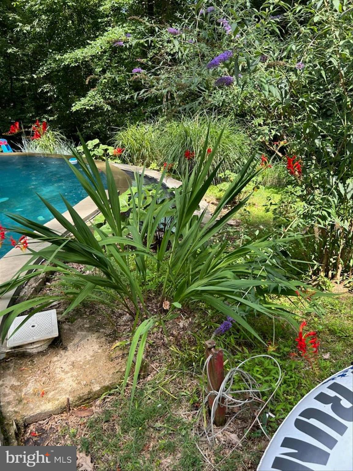 WORTHINGTON VALLEY - Residential