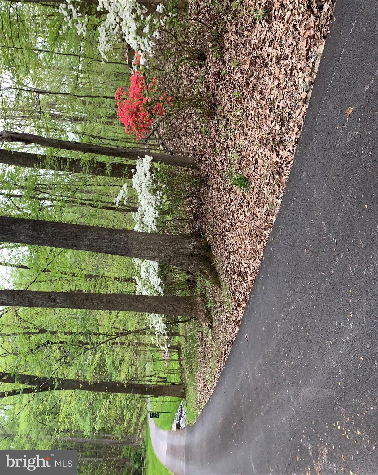 WORTHINGTON VALLEY - Residential