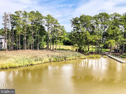 11 LOVE CREEK PINES LANE