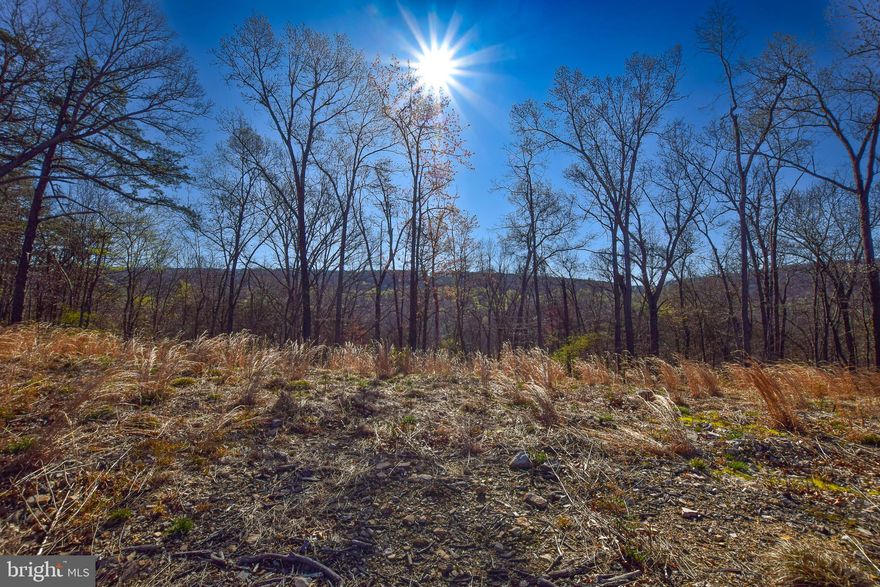 *****Motivated Seller*******
Don't miss out on your chance to own 12 scenic acres in Foxwood Knolls. Whether you're looking to build your forever home or keep the land as is, there are is no shortage of potential for this property. The private backdrop makes this an ideal location for hunting as well. This property is within minutes to I81 making access to MD/VA quick which is perfect for commuters who are searching for a picturesque property that is away from the hustle and bustle of the city. Property also has an approved perc test. This land offers the perfect blend of convenient access to town and country living.