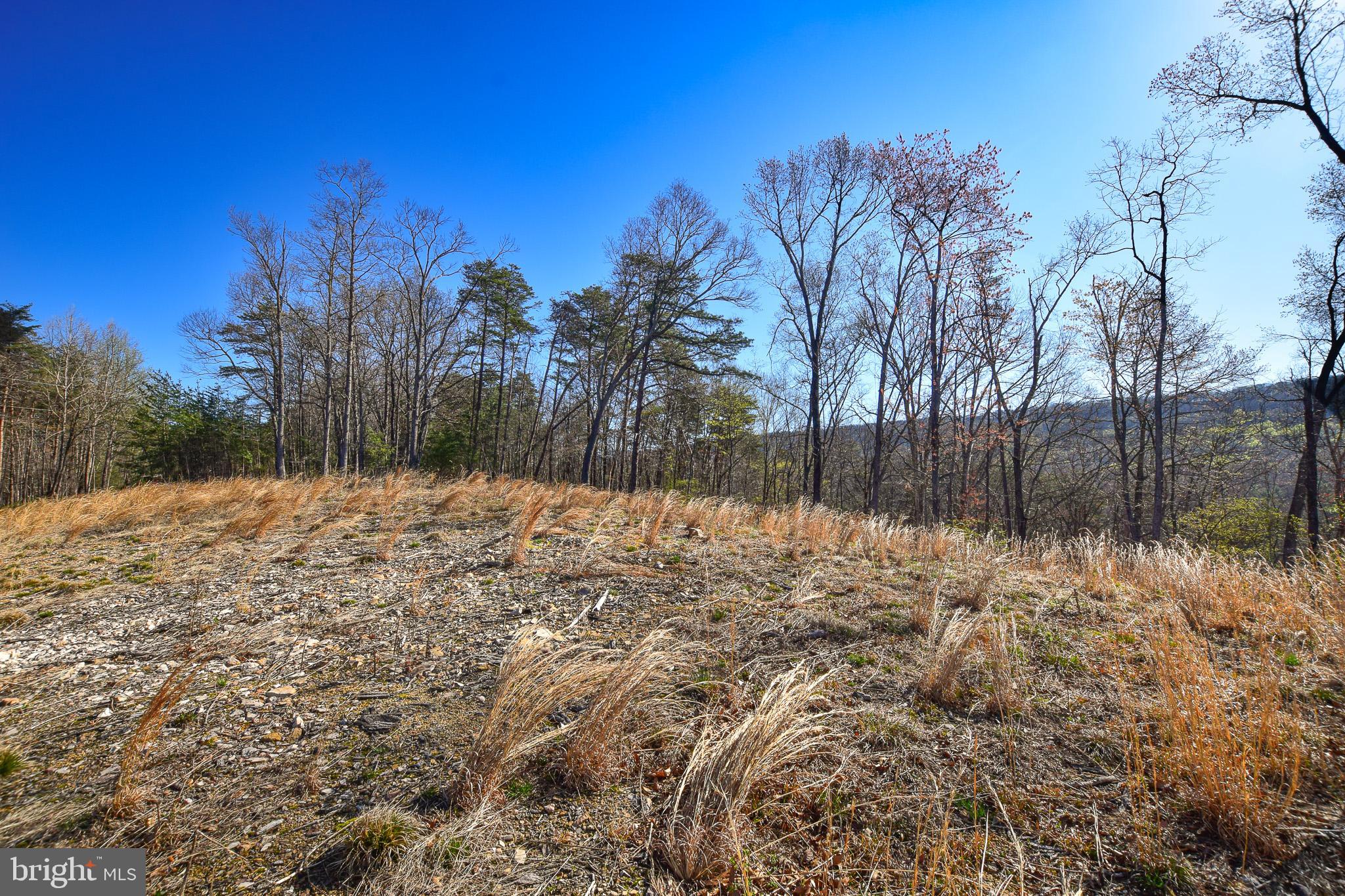 FOXWOOD KNOLLS - Land