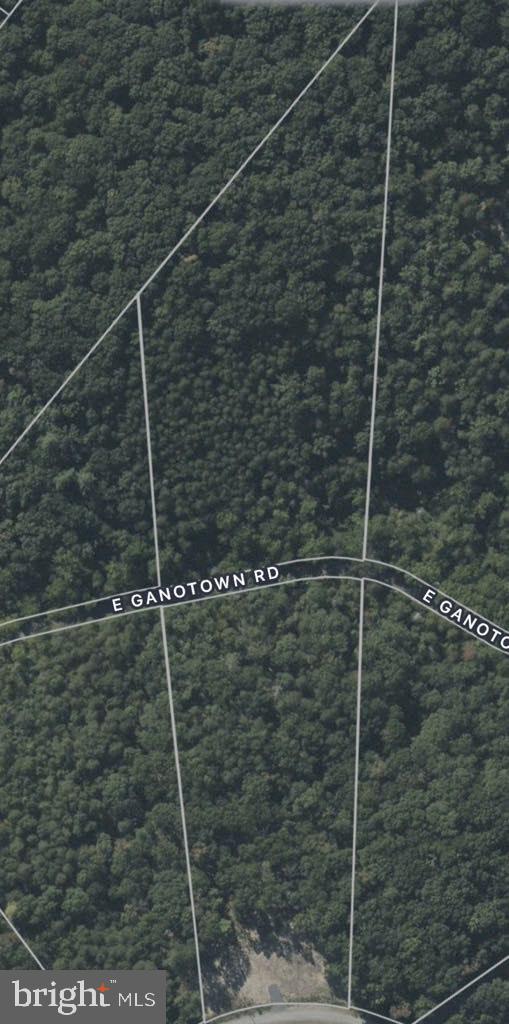 FOXWOOD KNOLLS - Land