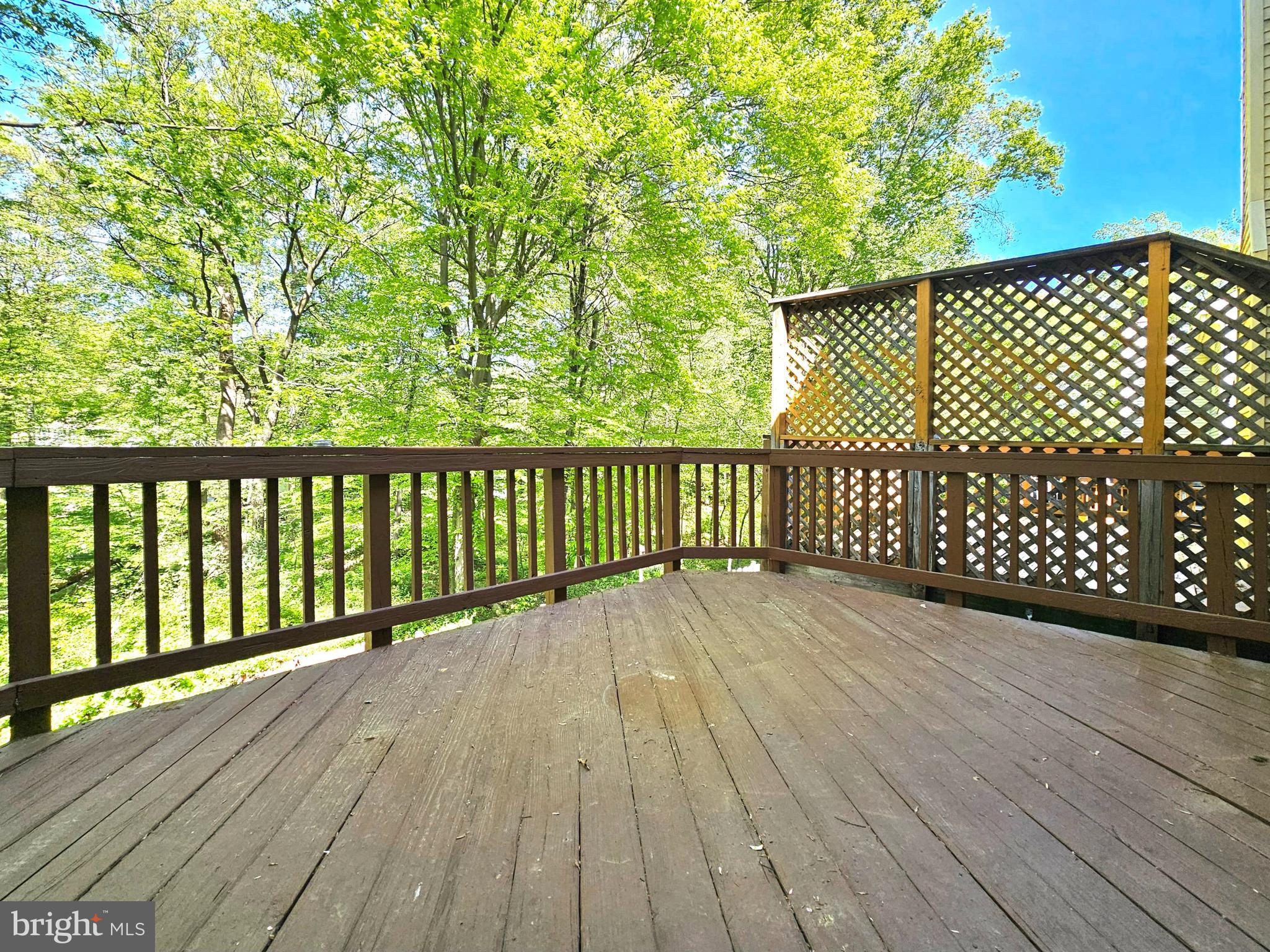 SPRINGFIELD OAKS - Residential Lease